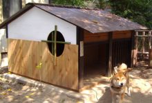 犬小屋リフォーム